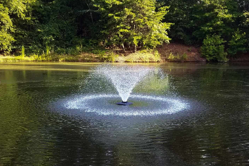 Why Upgrading to a More Efficient Replacement Fountain Pump Saves Money and Energy