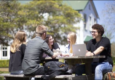 The Digital Shift in Australian Higher Education: Optimising Academic Settings for Success